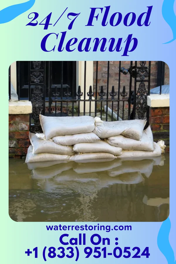 24/7 Flood Cleanup in Westchase, FL